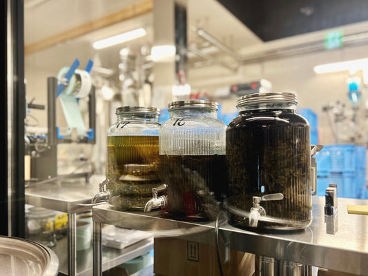 やっぱり晴れてると嬉しい