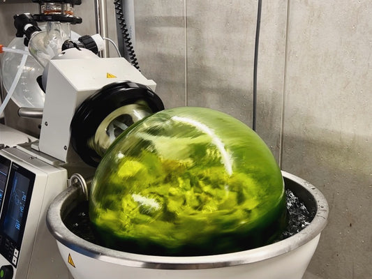 今日も今日とて蒸溜中！