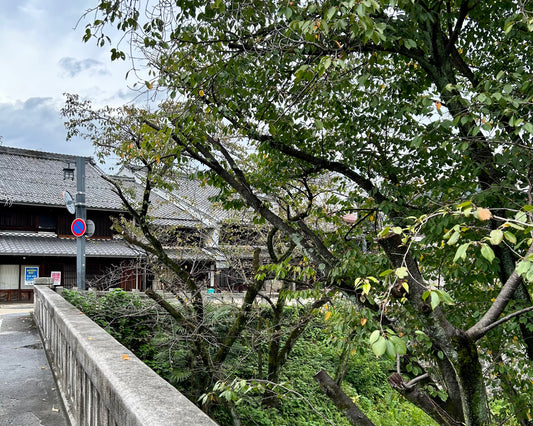 来年に向けてもこつこつ