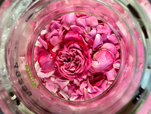 過ごしやすい時に