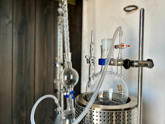 来月、何する？