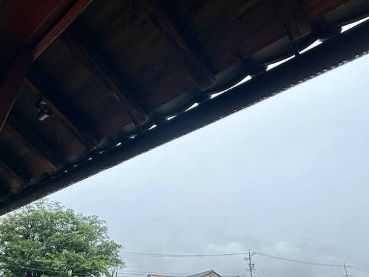 雨でも楽しみを