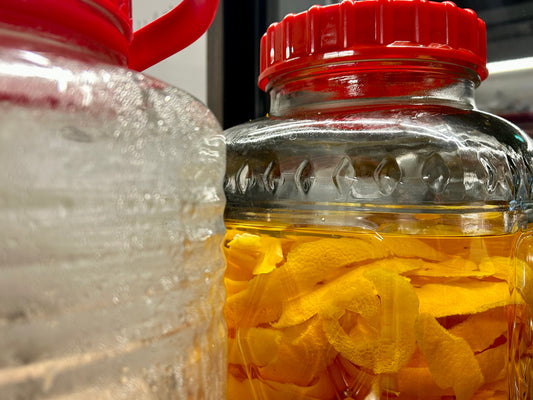 今日なにしよう？